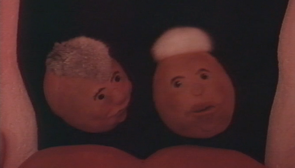 Histórias de Corpo Inteiro