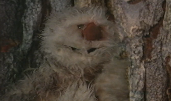 Histórias de Corpo Inteiro