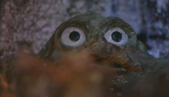 Histórias de Corpo Inteiro