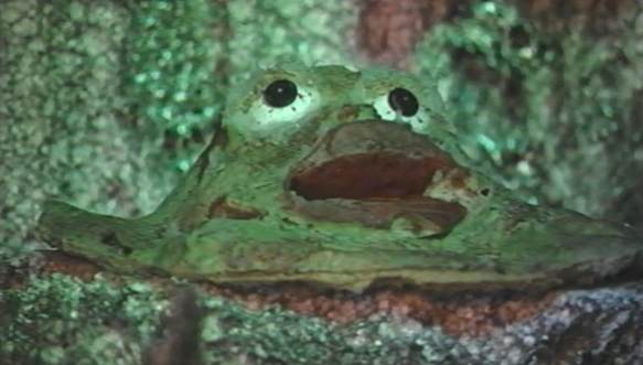 Histórias de Corpo Inteiro