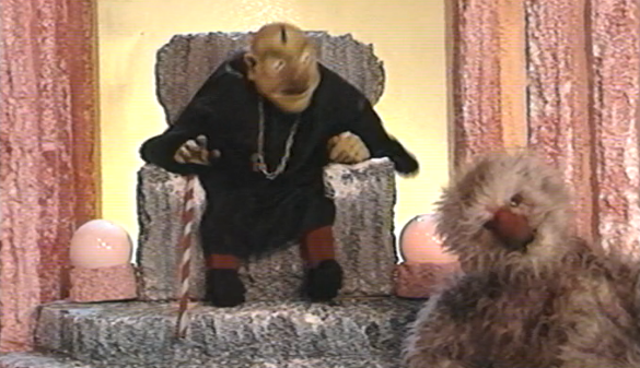 Histórias de Corpo Inteiro