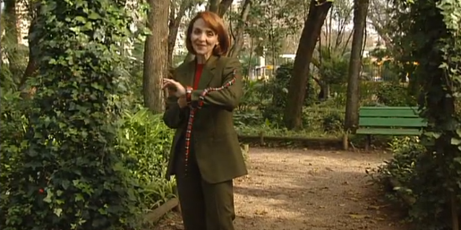 Companhia dos Animais