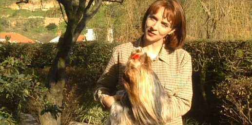 Companhia dos Animais