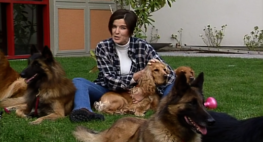 Companhia dos Animais