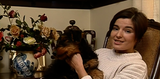 Companhia dos Animais