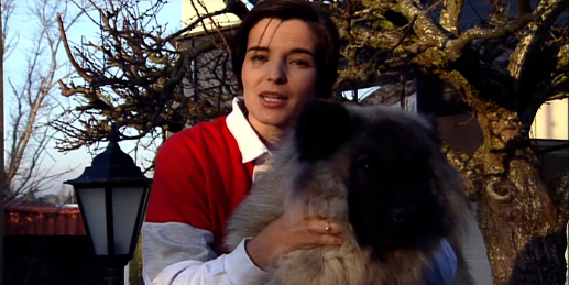 Companhia dos Animais