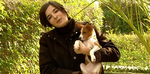 Companhia dos Animais