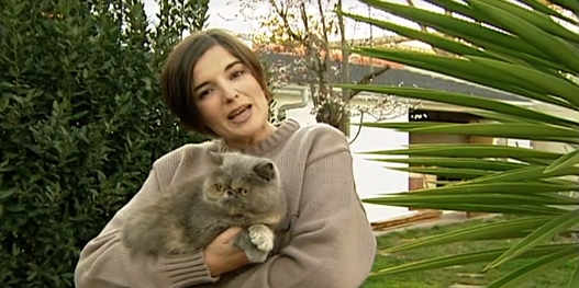 Companhia dos Animais