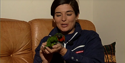 Companhia dos Animais