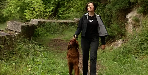 Companhia dos Animais