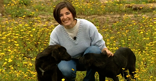 Companhia dos Animais