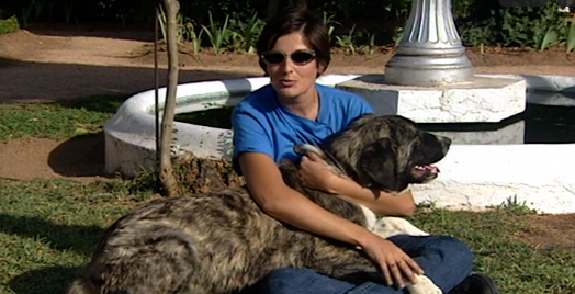 Companhia dos Animais