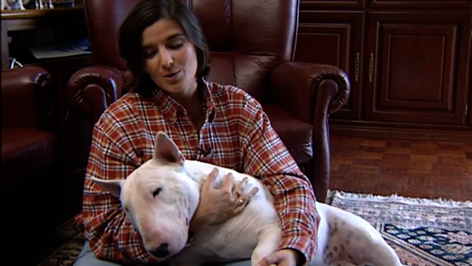 Companhia dos Animais