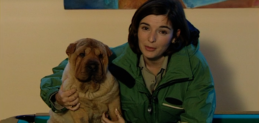 Companhia dos Animais