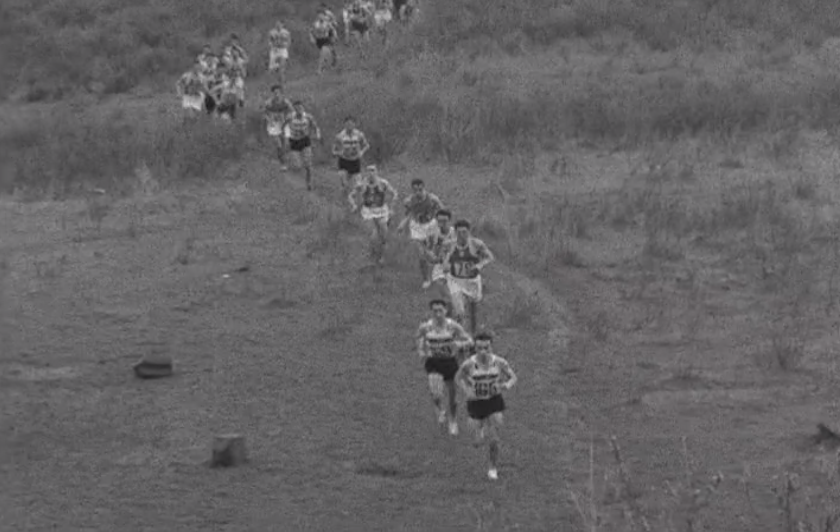 Torneio de Equipas de Corta-Mato
