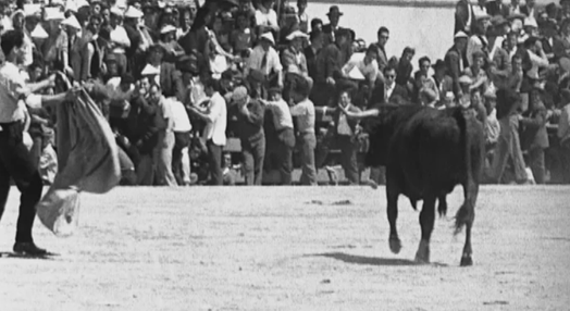 Festa do colete encarnado em Vila Franca de Xira