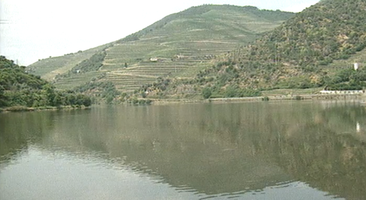 Região do Douro candidata a Património Mundial