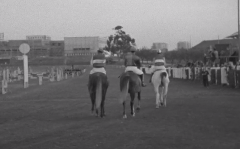 Festa na Escola de Equitação António Correia