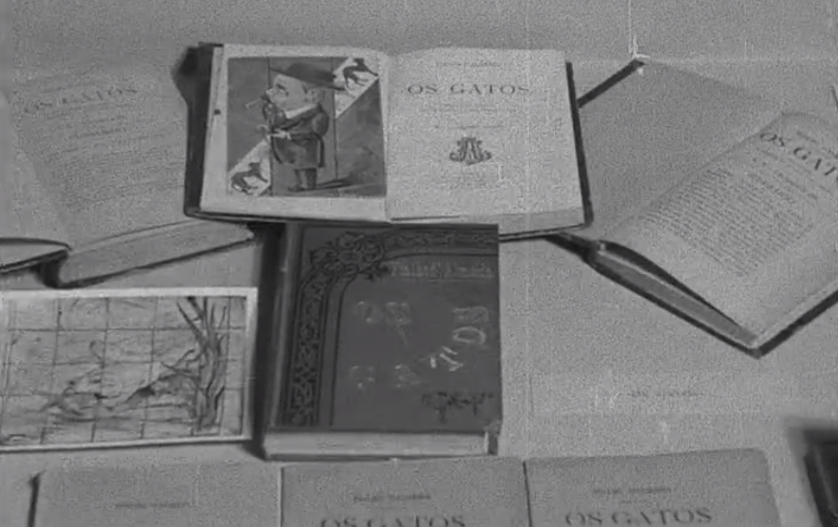 1º Centenário do nascimento de Fialho de Almeida