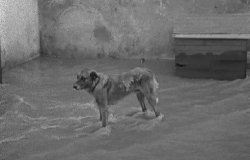 Rotura de conduta em Lisboa