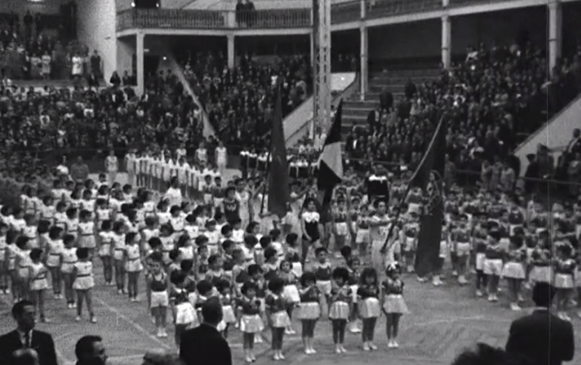 Sarau de ginástica do Benfica