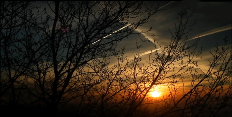 Ensinar e Amar – Episódio 14