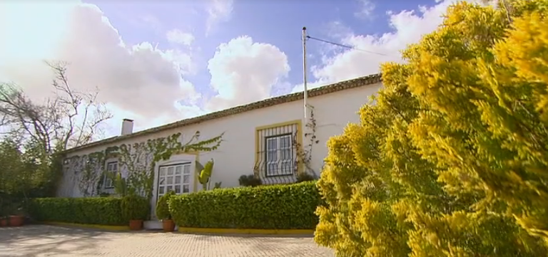 Alguém Viu a Inês – Episódio 25