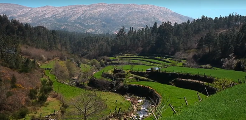 Amplitudes Moduladas – Episódio 68