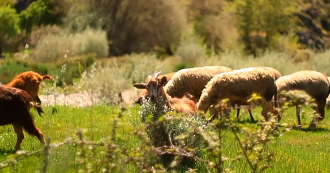 Fora de Jogo – Episódio 80