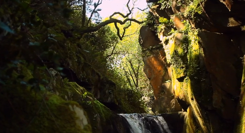 Há Gente Que Odeia Portões – Episódio 87