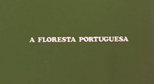 Floresta Portuguesa
