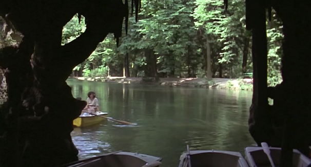 A Floresta e o Lazer