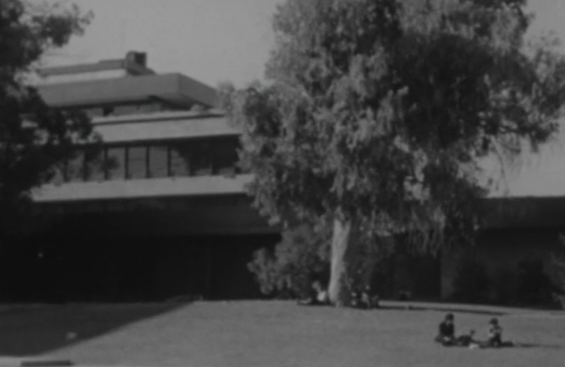 Atividades do Instituto Português de Fotografia