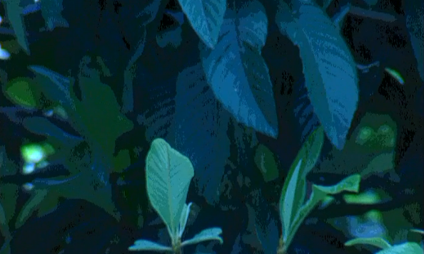 O Planeta Faz de Conta