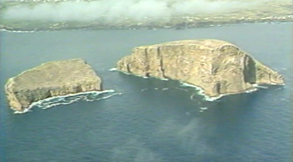 O Trigo e as Escalas