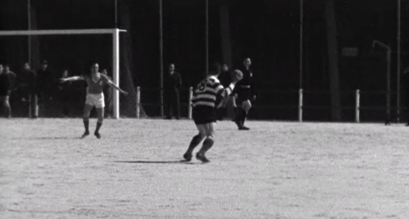 Andebol: Sporting Clube de Portugal vs Salgueiros