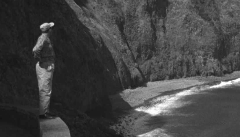 Feira de gado na Madeira