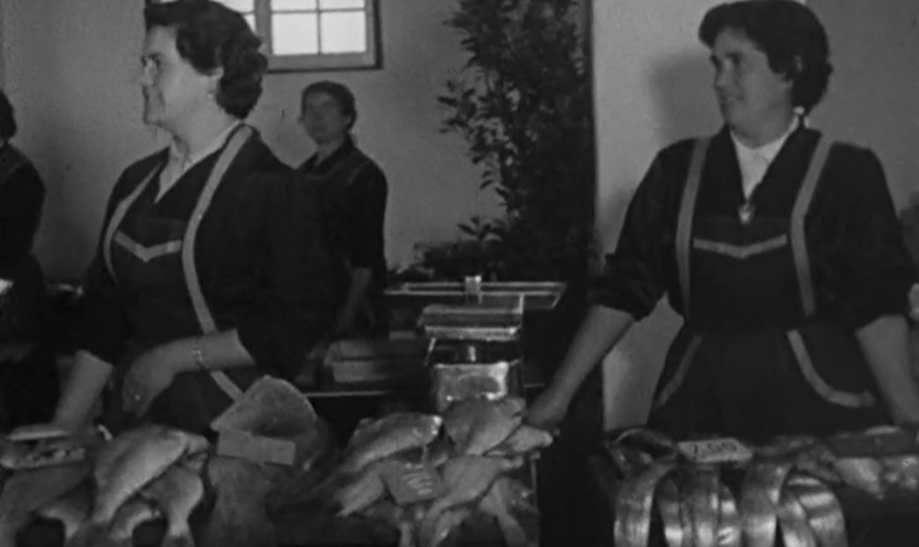 Inauguração do Mercado Municipal em Lisboa