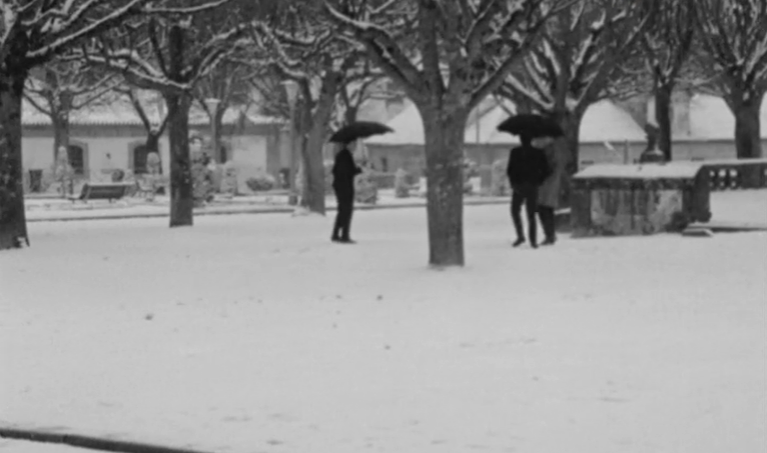 Queda de neve em Cinfães