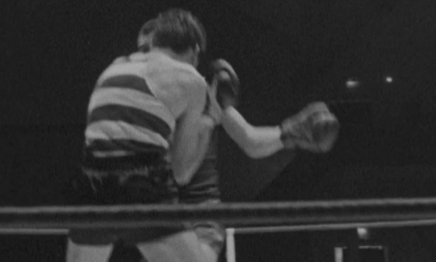 Combates de Pugilismo Amador