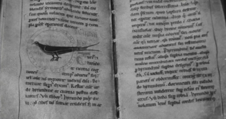 Exposição de Iluminados e Manuscritos