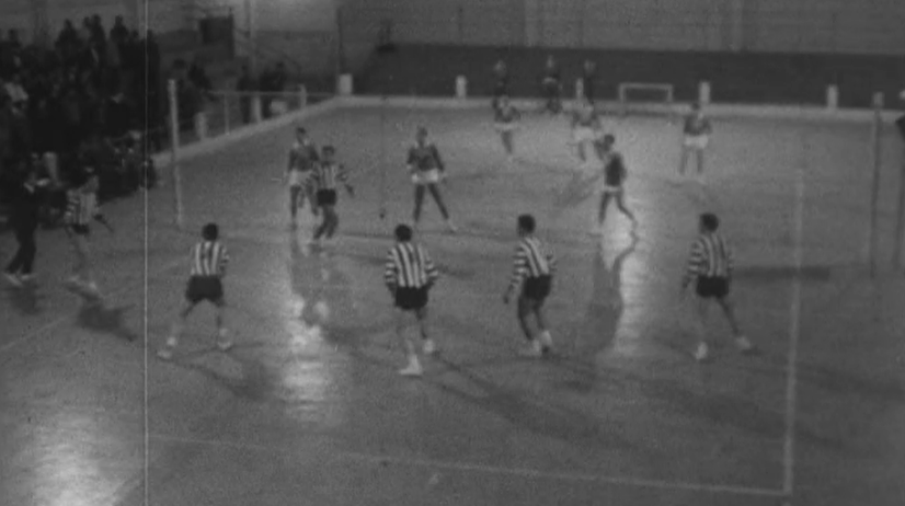 Voleibol: Sporting Clube de Espinho vs Sport Lisboa e Benfica