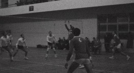 Voleibol: Benfica vs Lisboa Ginásio