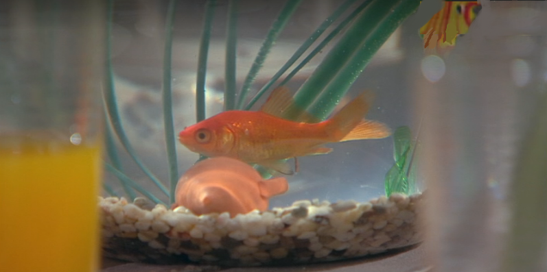 À Procura de Babe – Episódio 102