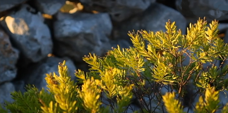 Afinal Havia Outro – Episódio 16