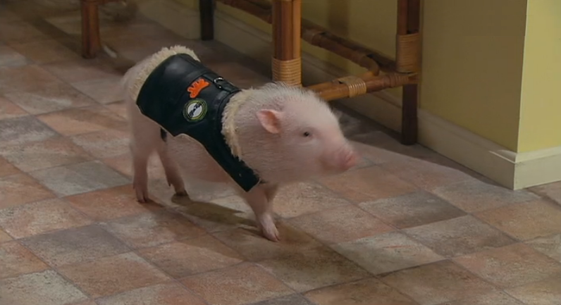 O Leitão Jonas – Episódio 32