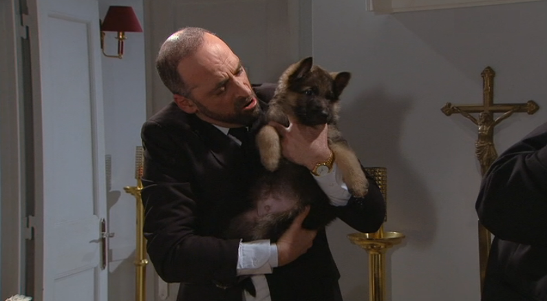 Tão Fofinhos! – Episódio 62