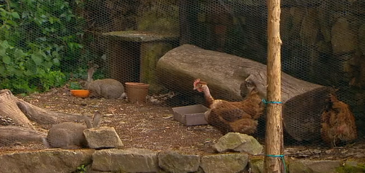 Cantar de Galo – Episódio 82