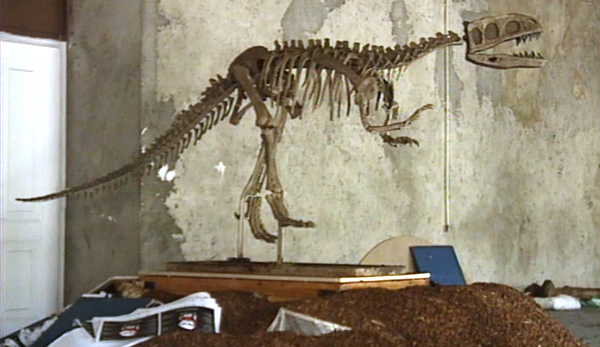 Repórteres da Terra – Parte II