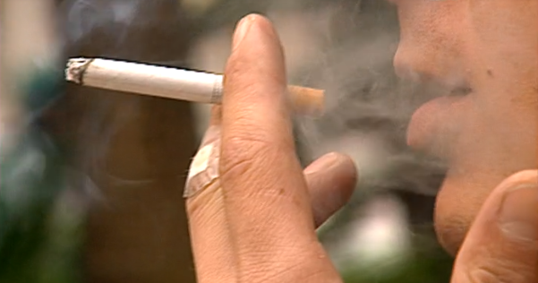 Repórteres da Terra – Parte II